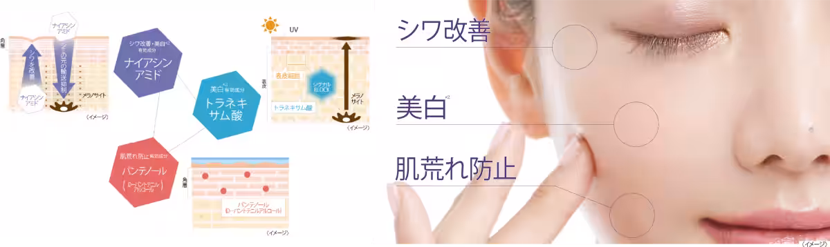 画像11