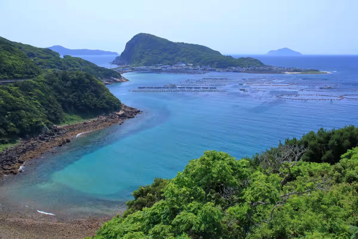 画像8