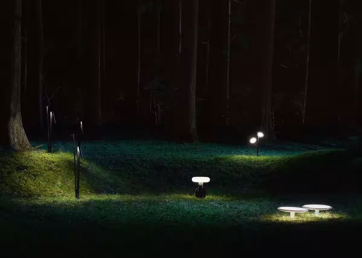 画像11