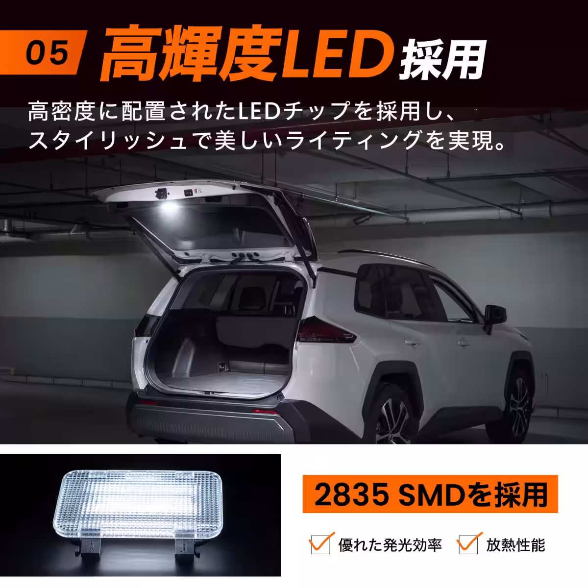 画像11