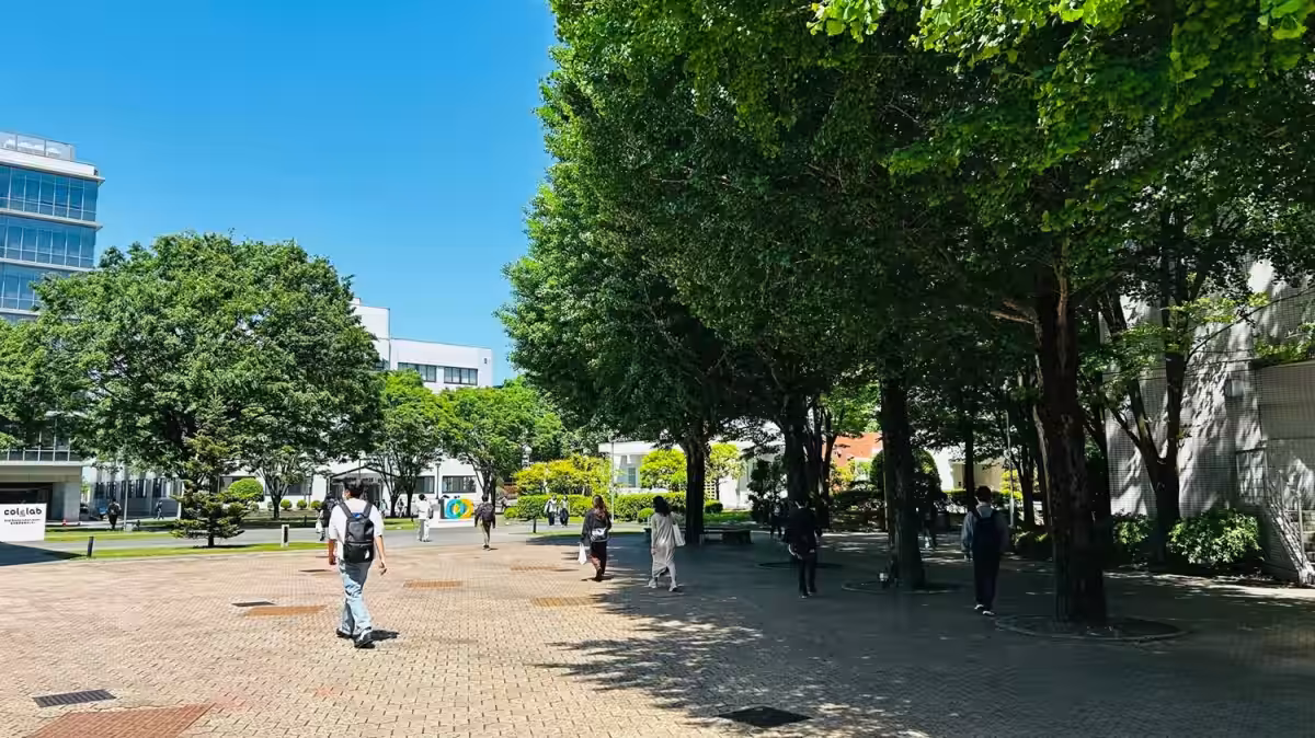 画像8