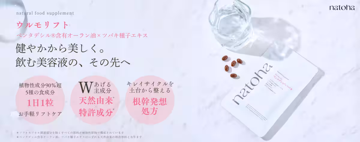画像14
