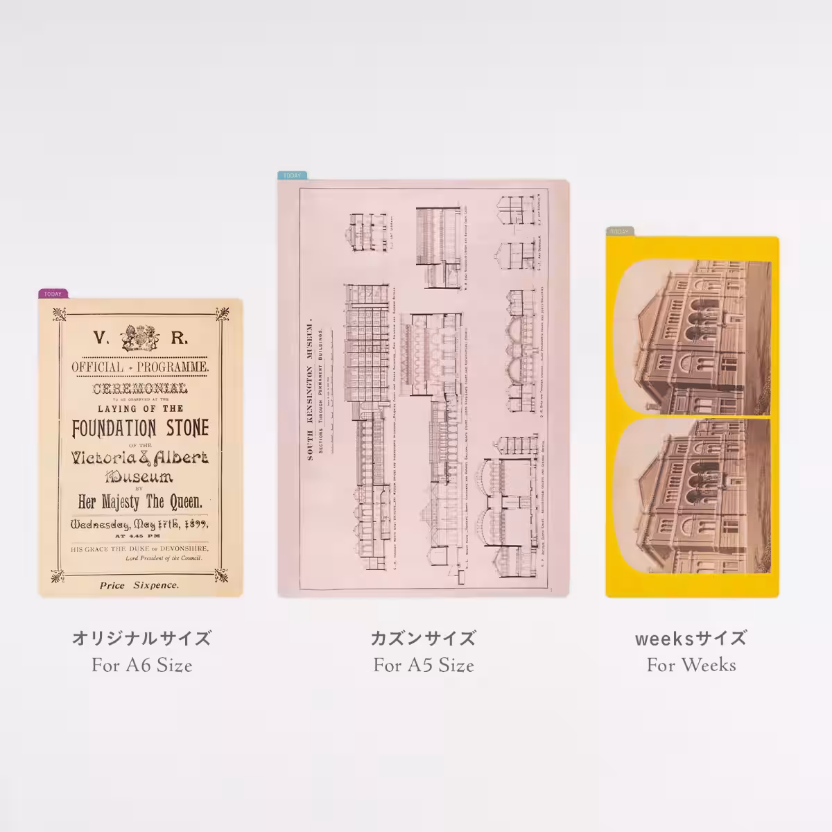 画像8