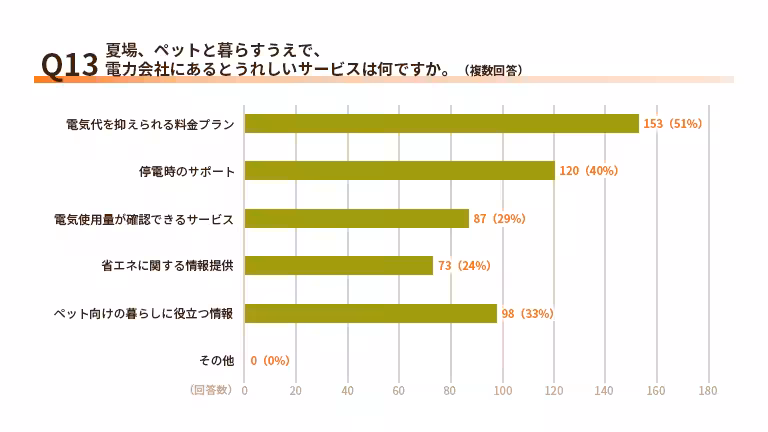 画像14