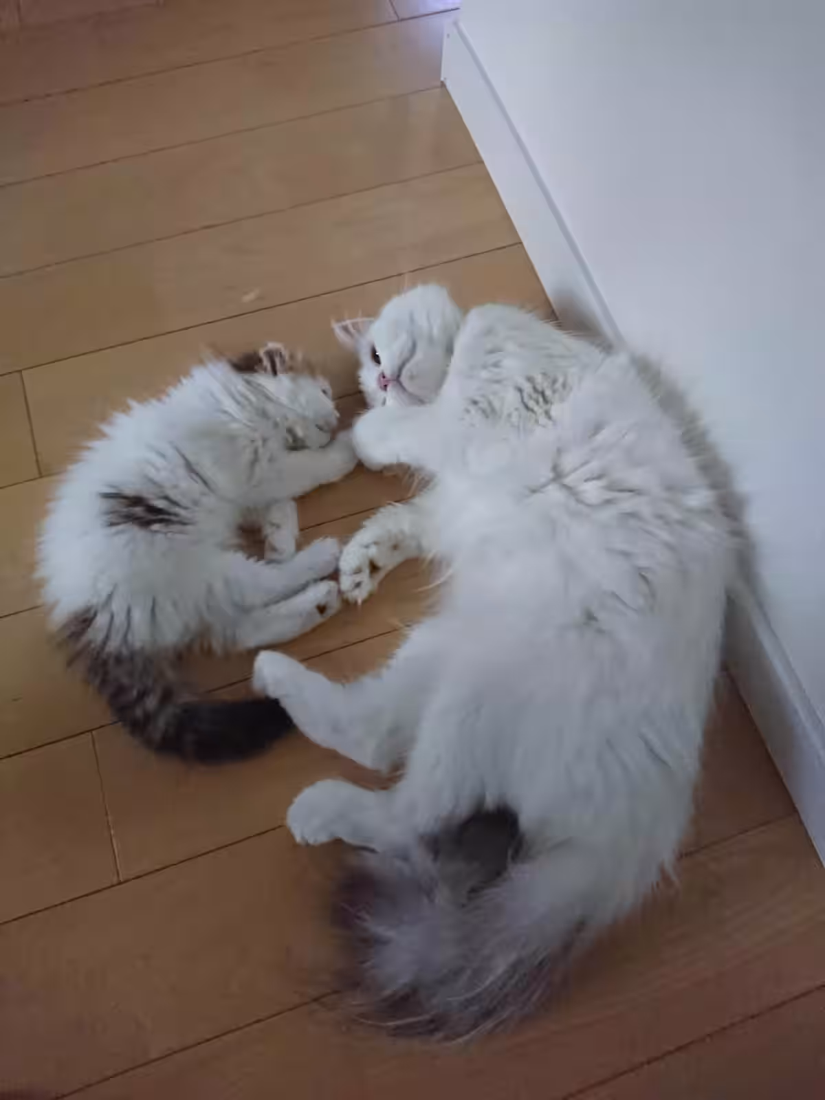 画像11