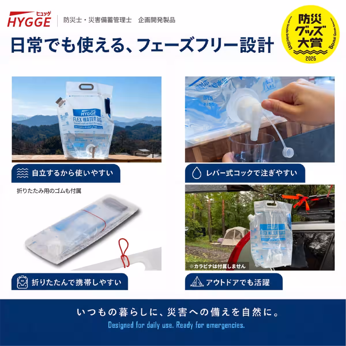 画像12