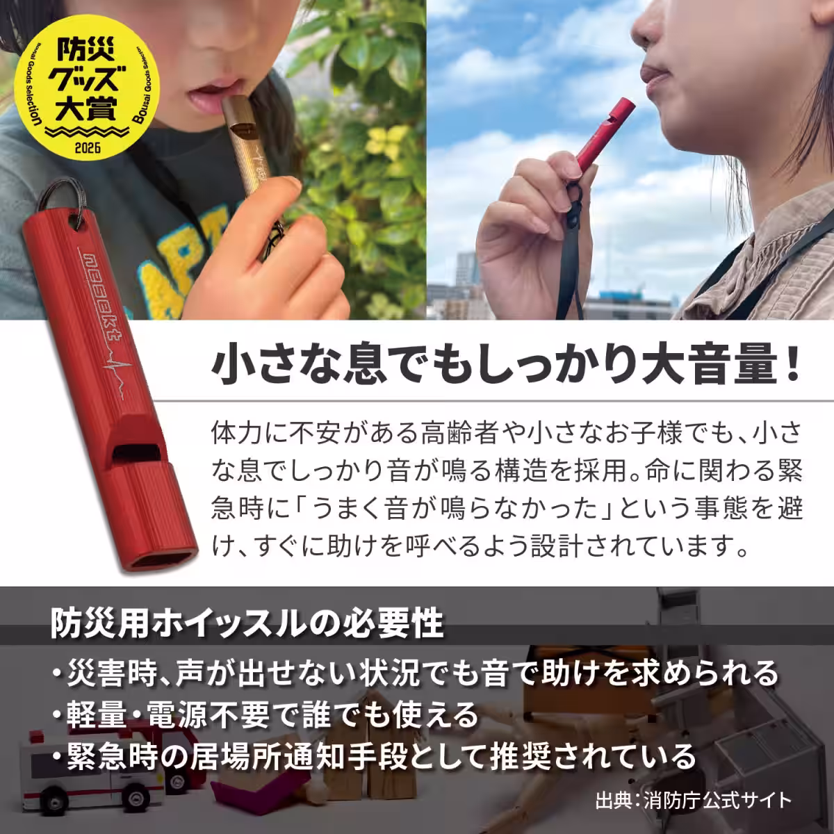 画像15