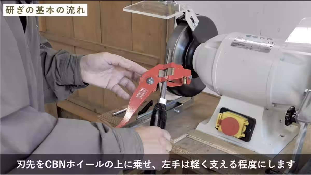 画像5