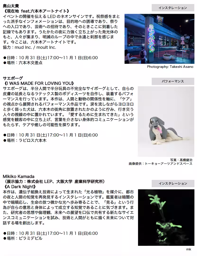 画像19