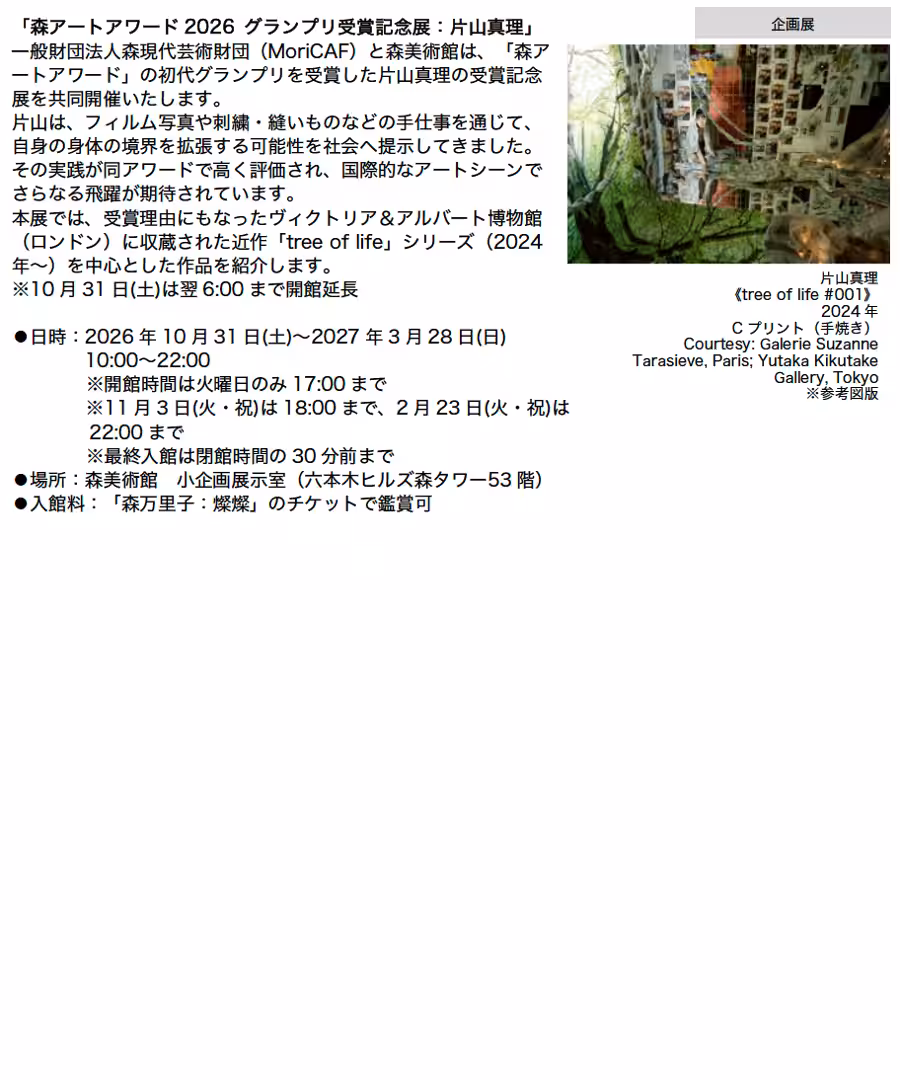画像13