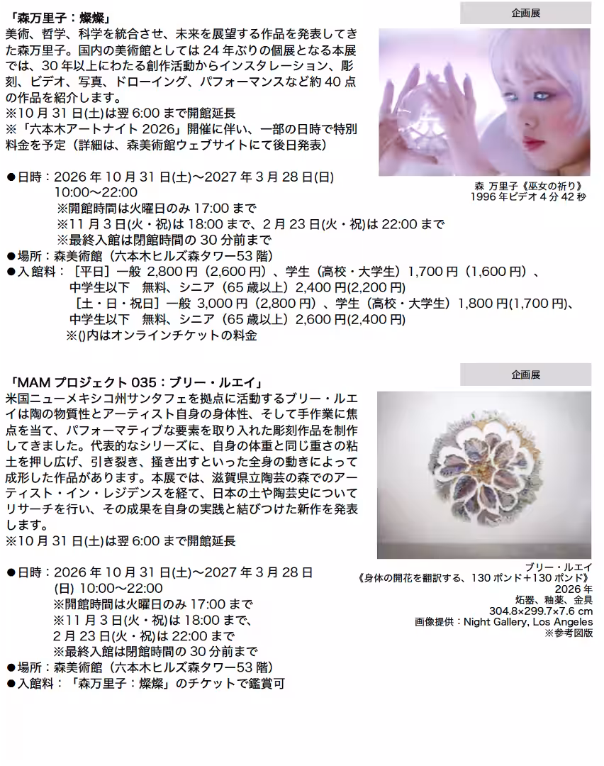 画像12