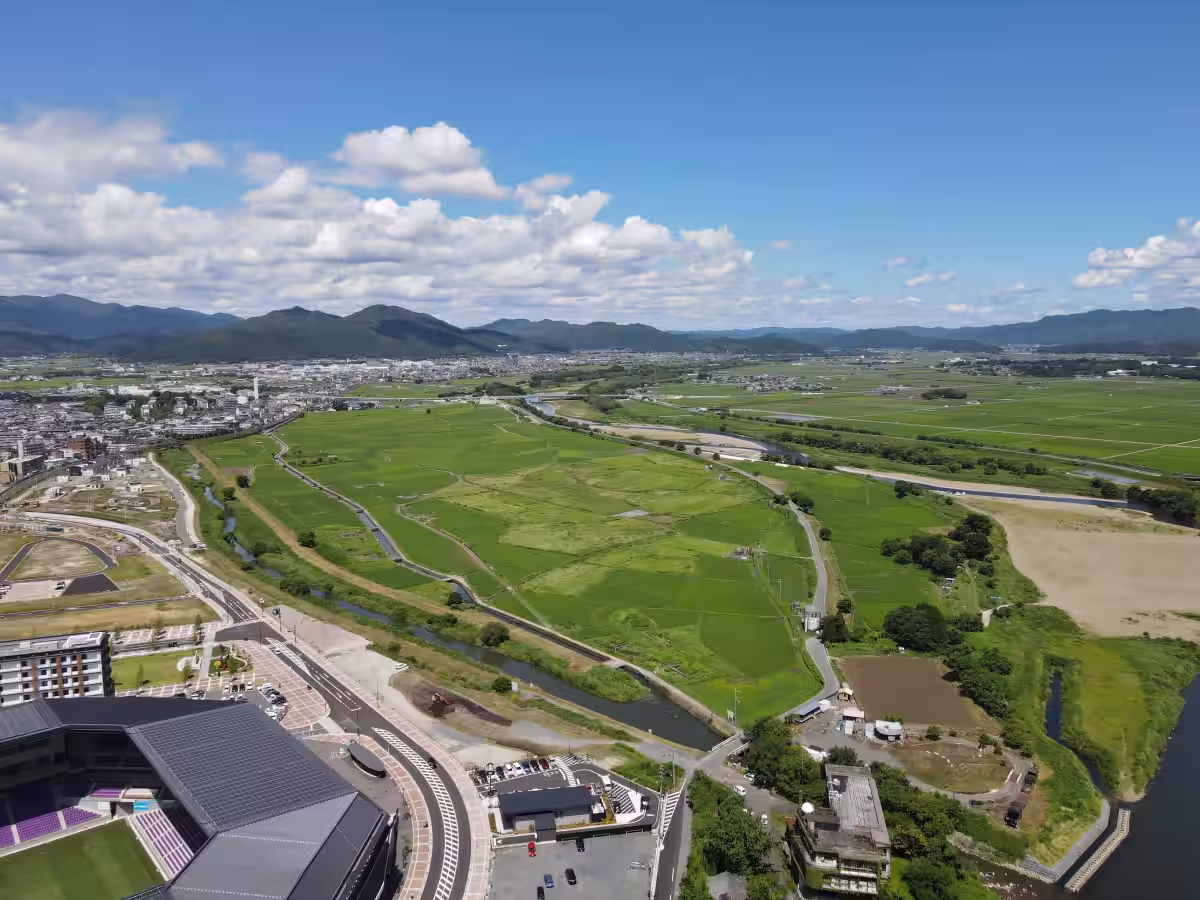 画像9