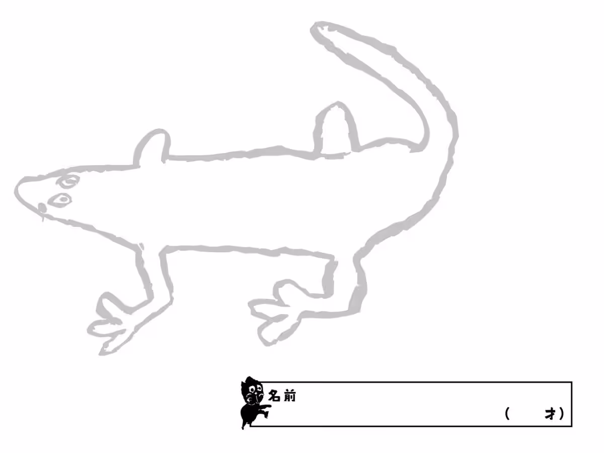 画像6