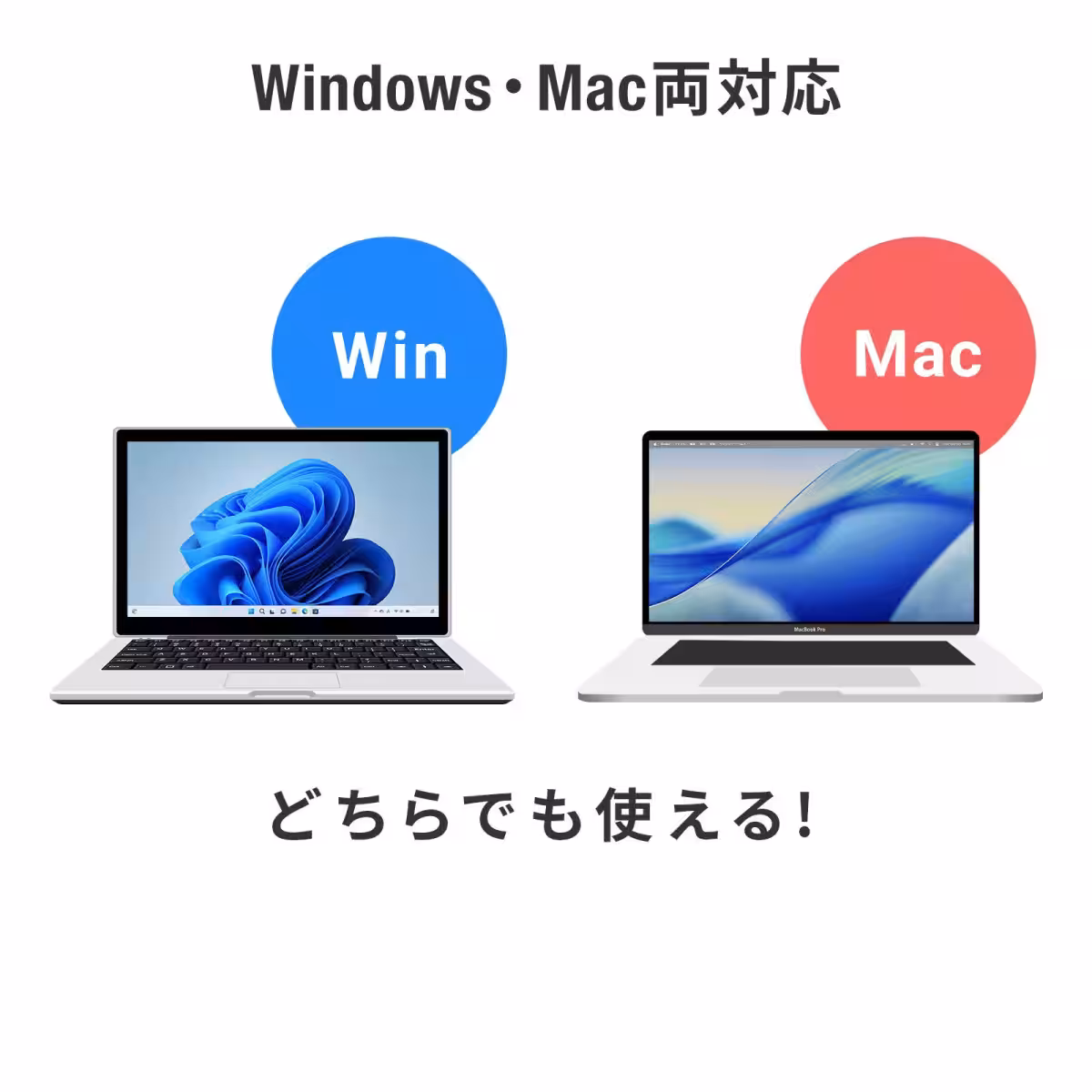 画像13