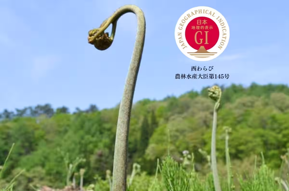 画像15