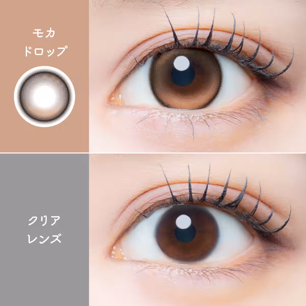 画像11