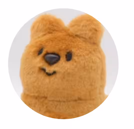 画像11