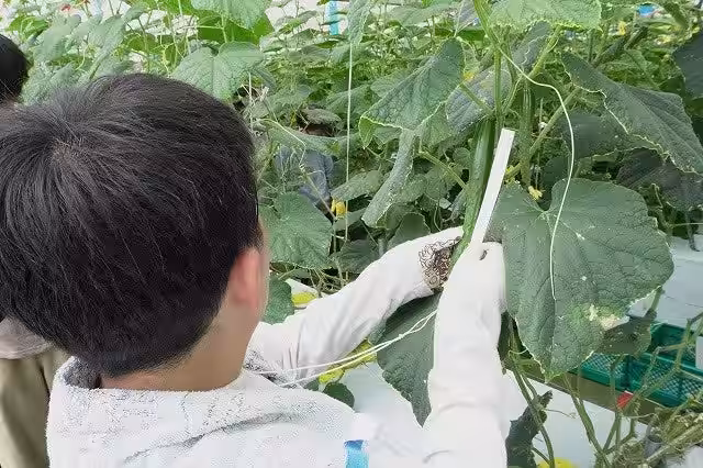 画像2