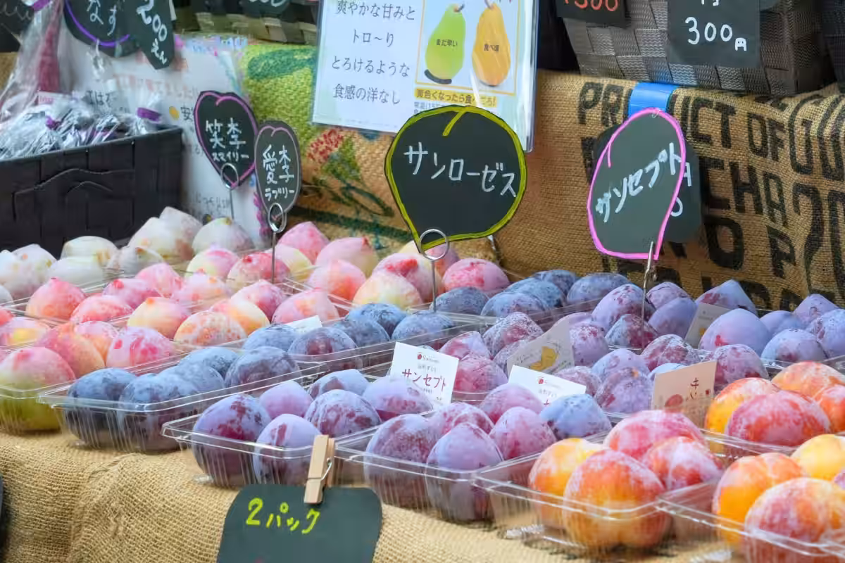 画像7
