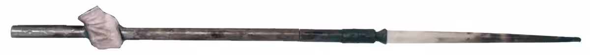 画像8