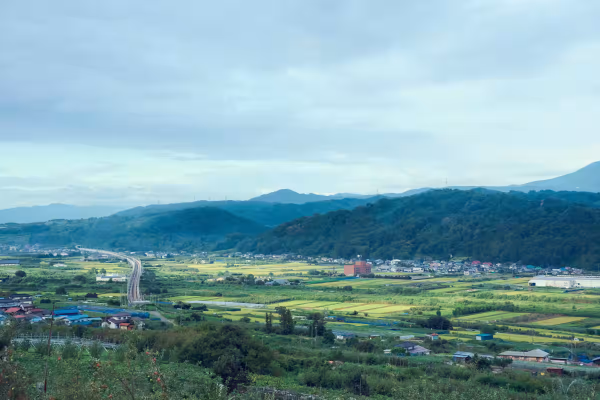 画像4
