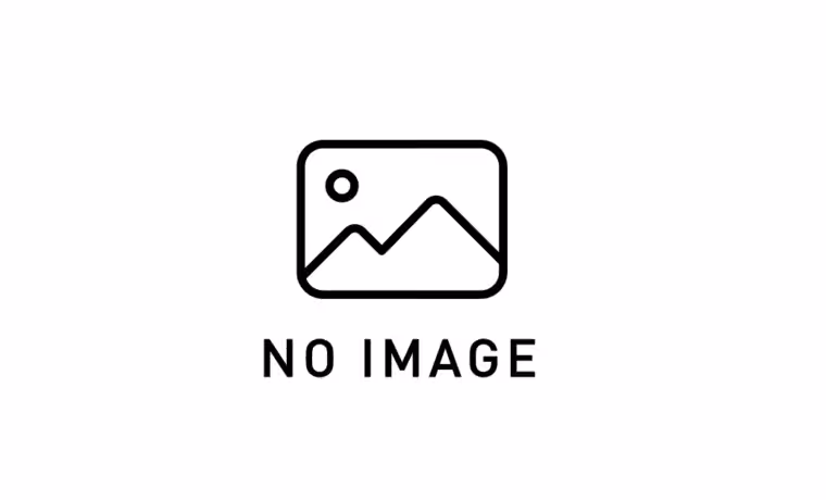 画像9