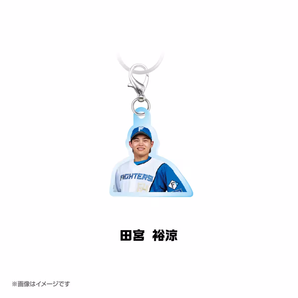 画像14
