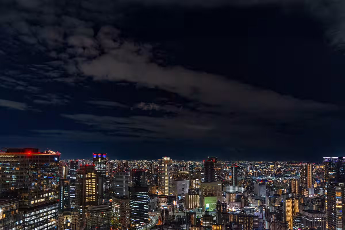 画像7