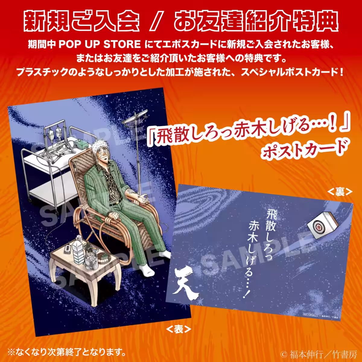 画像24