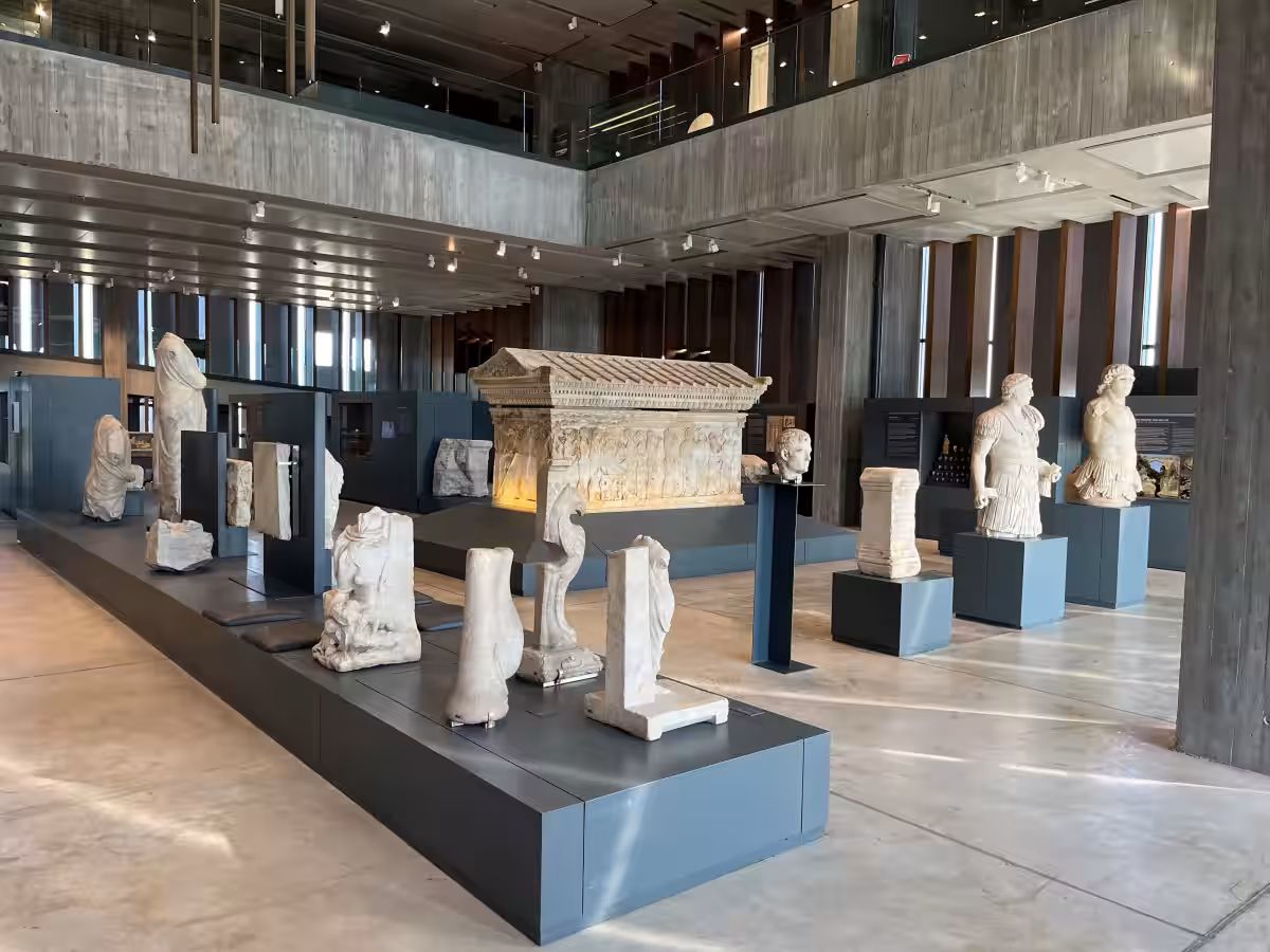 画像4