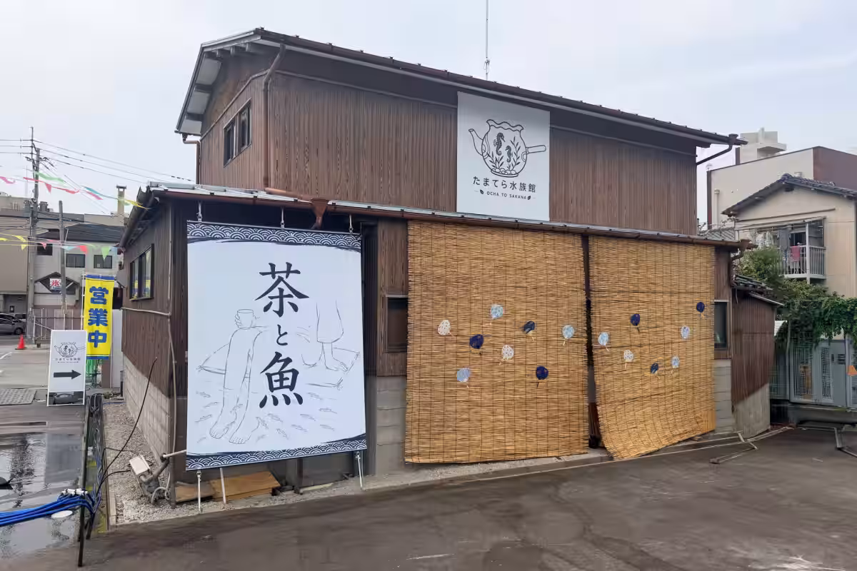 画像5