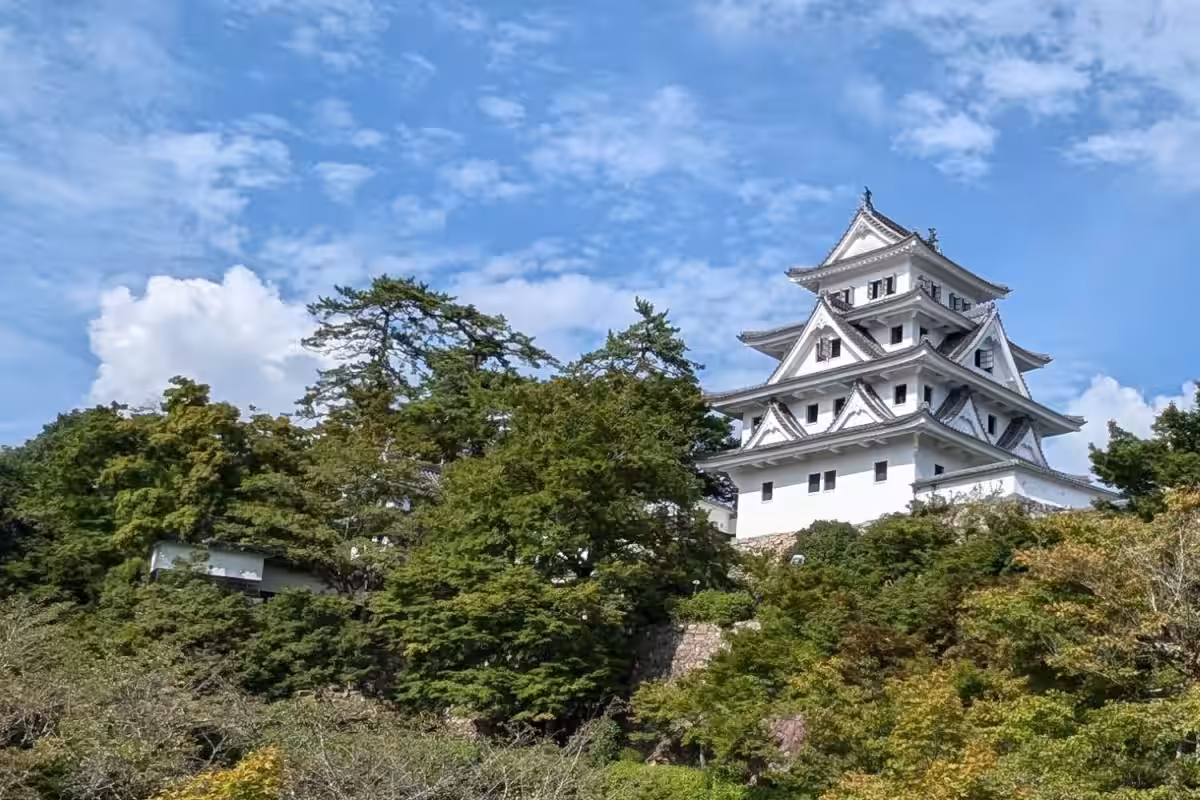 画像7
