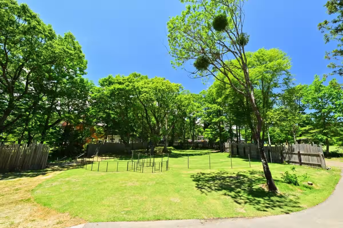 画像27