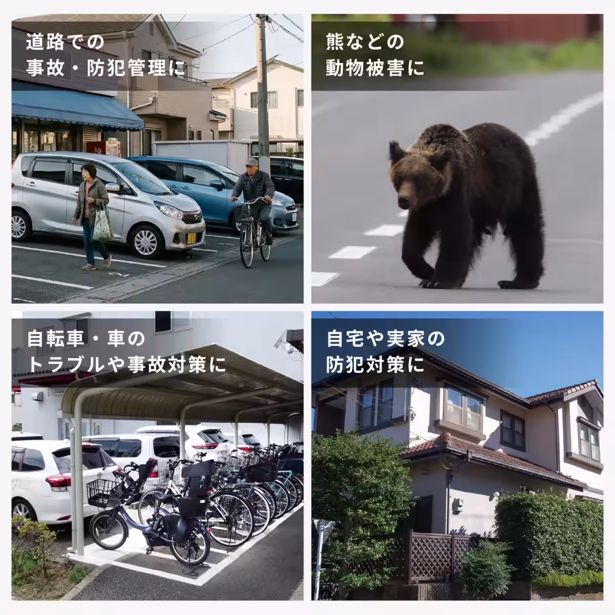 画像13