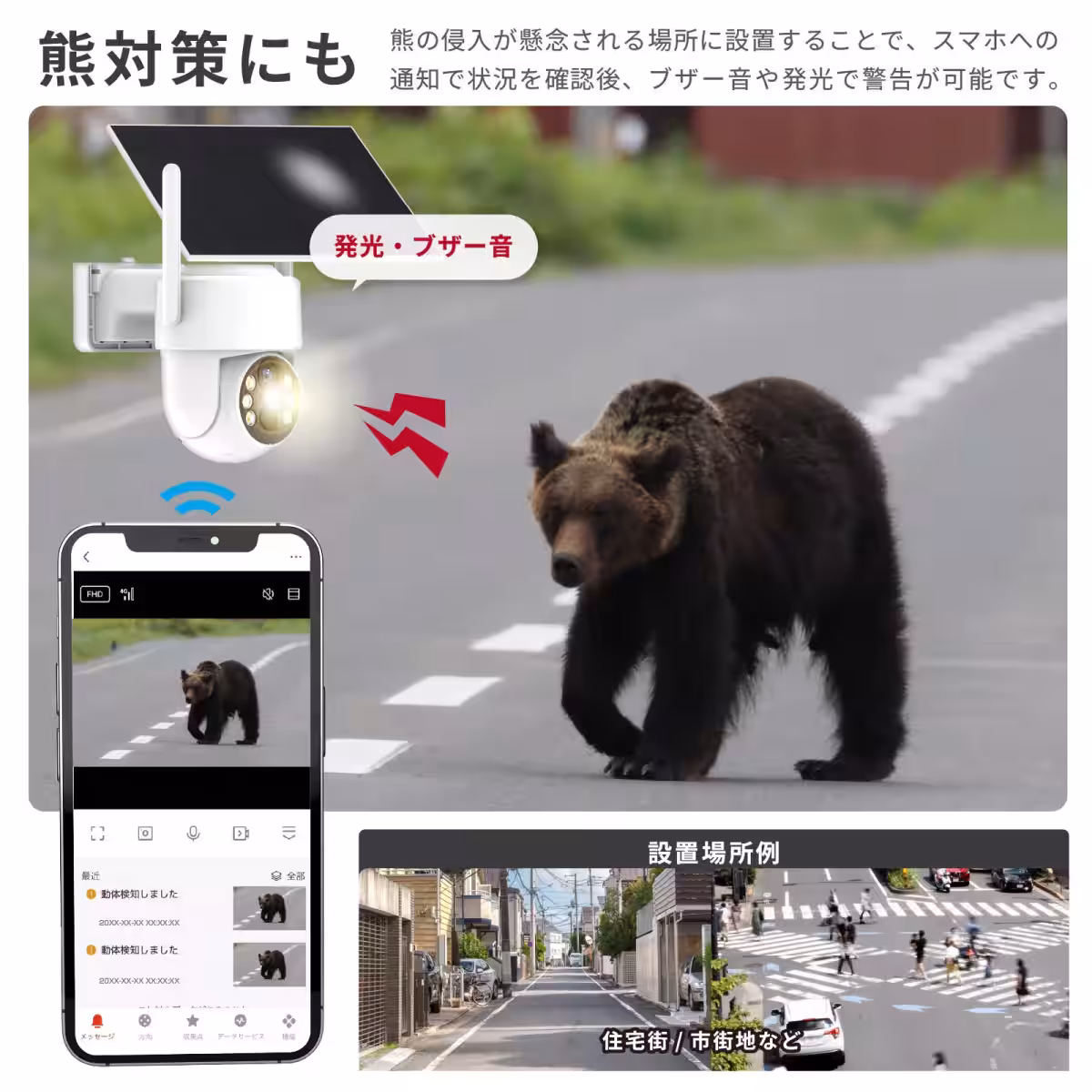 画像19