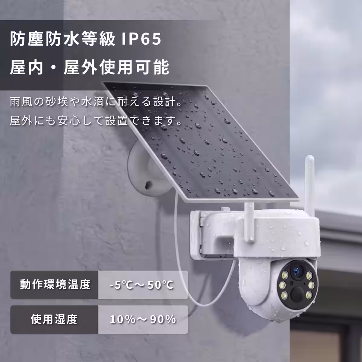 画像14