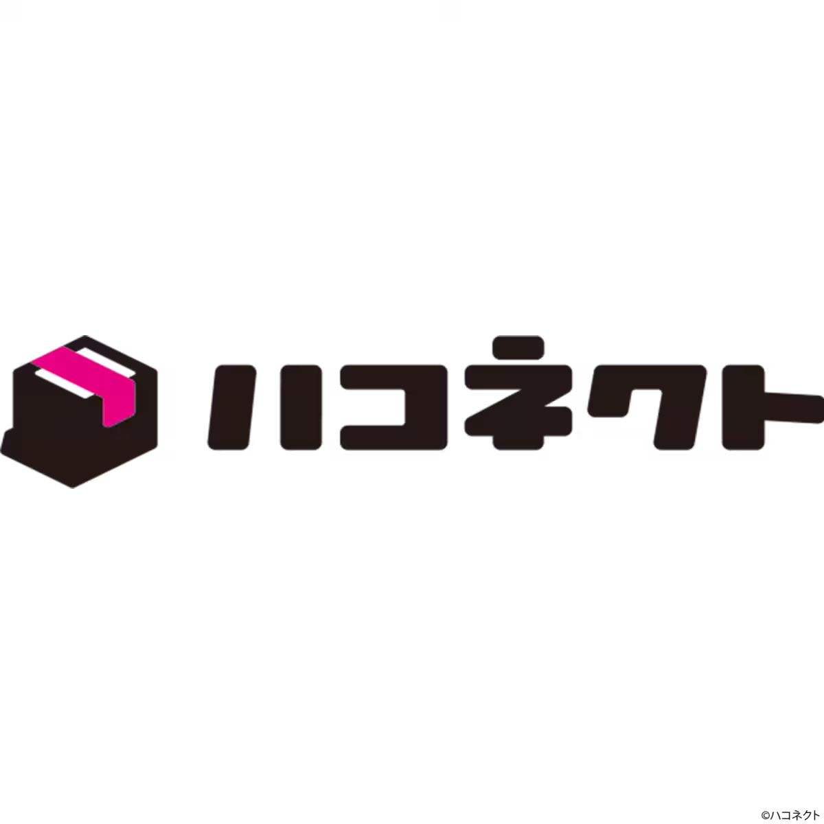画像13