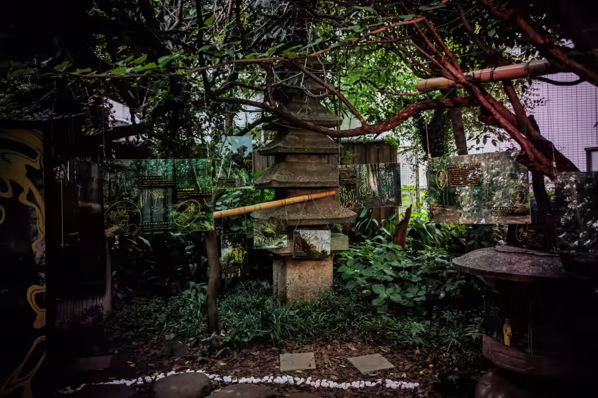 画像8
