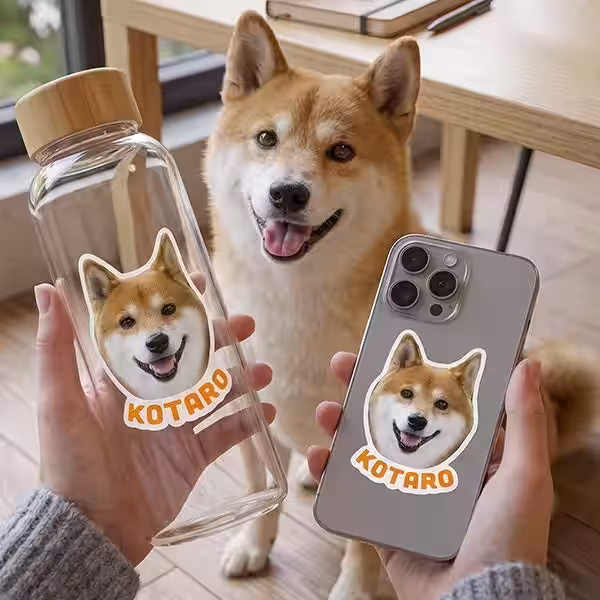 画像5