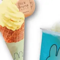 Miffyとの夏