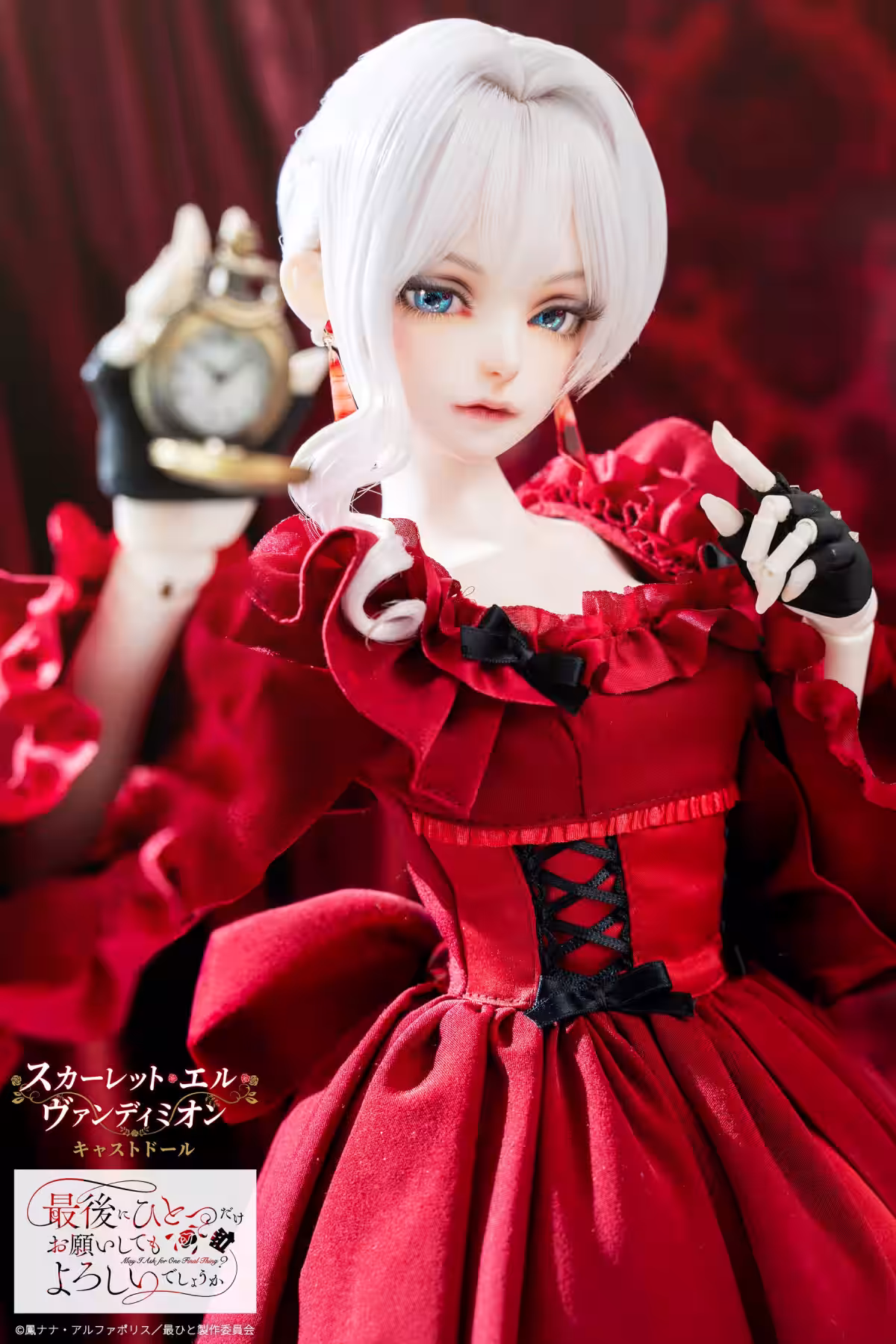 画像14