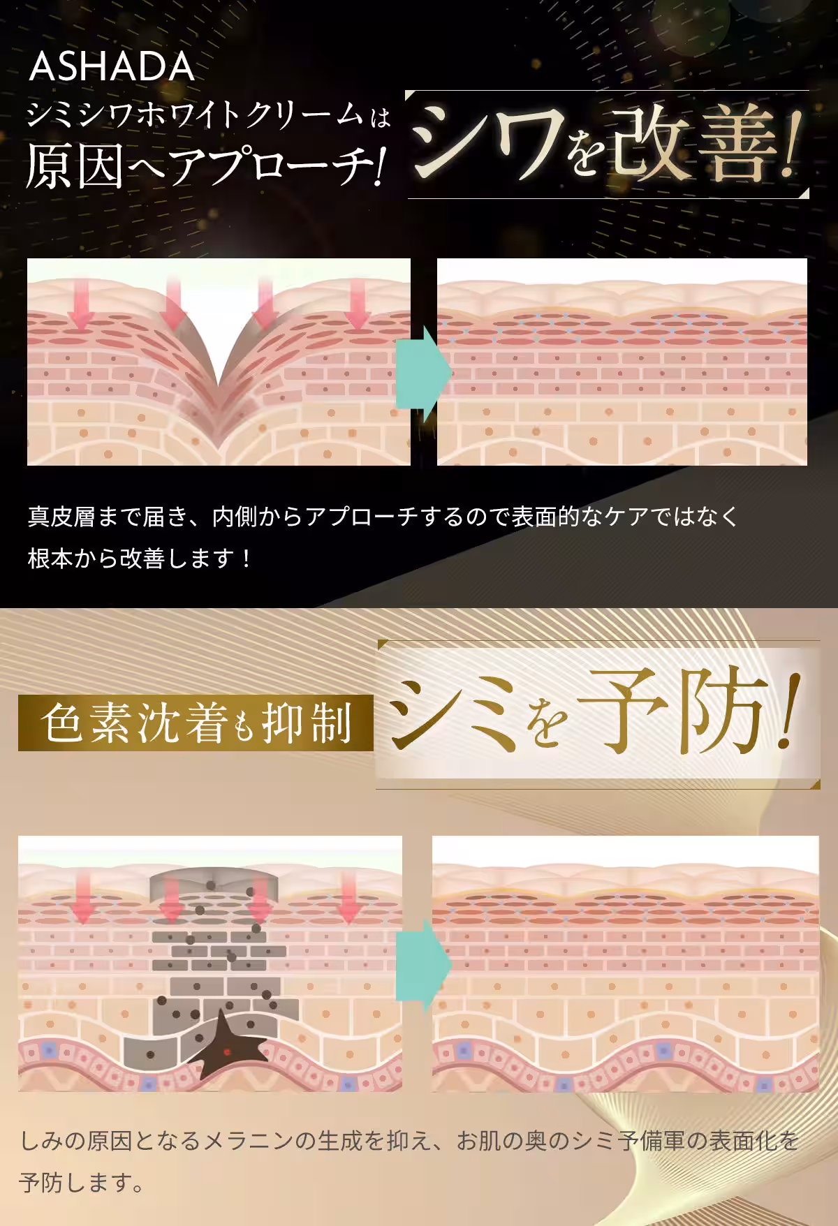 画像21