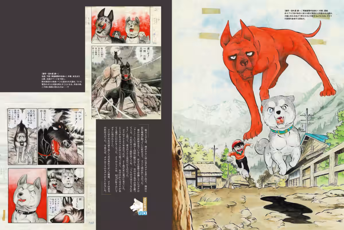 画像5