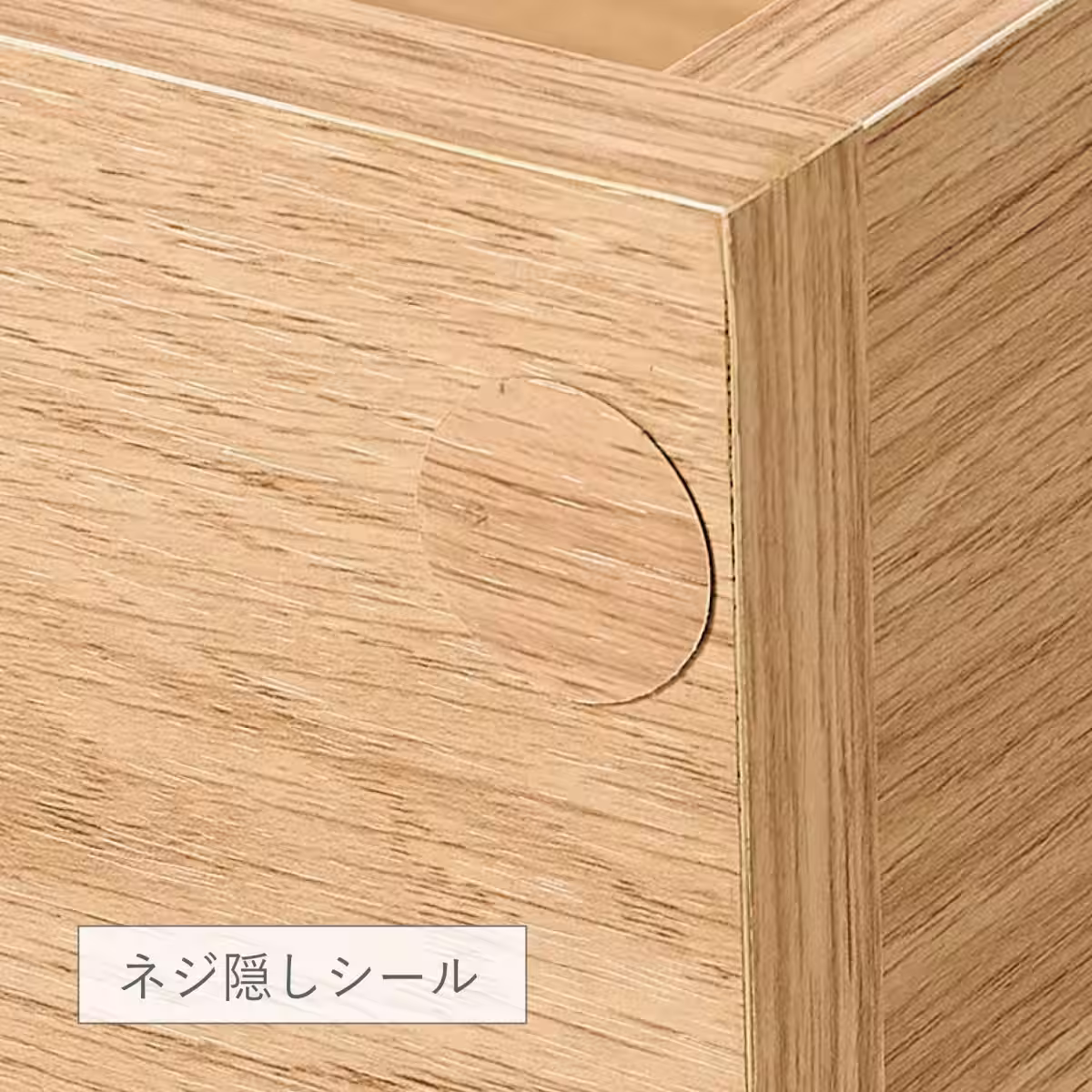 画像18