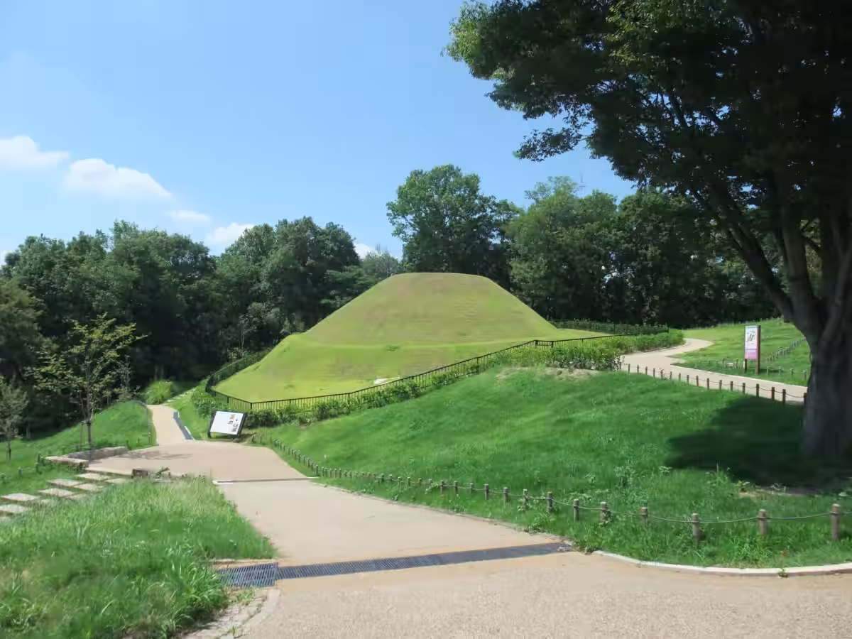 画像6
