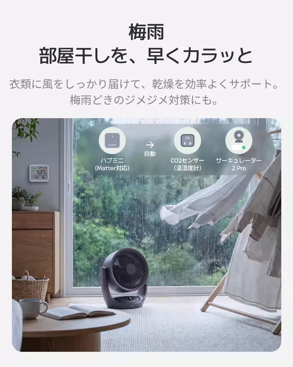 画像6