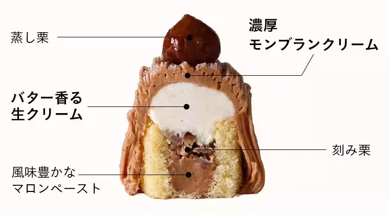 画像11