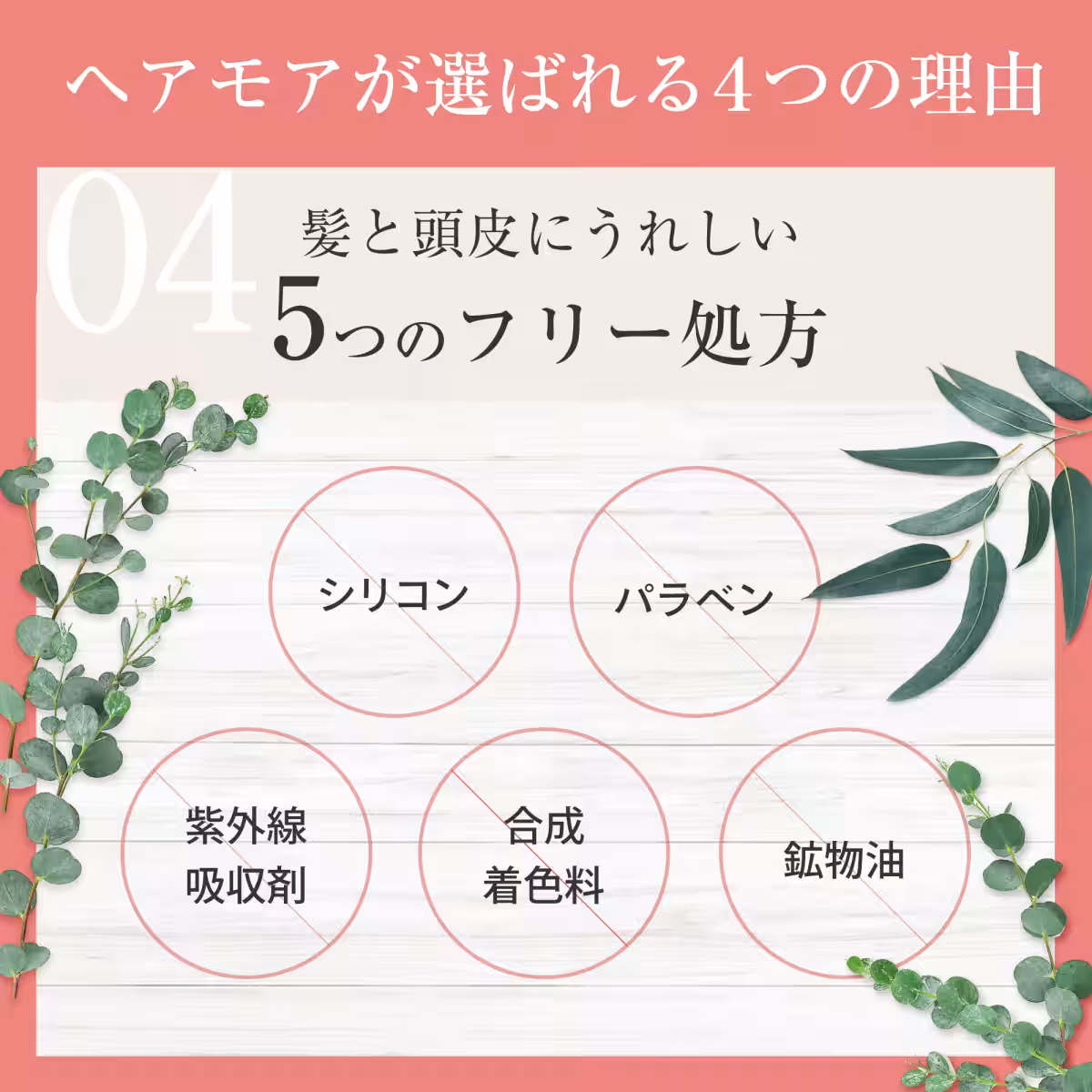 画像14