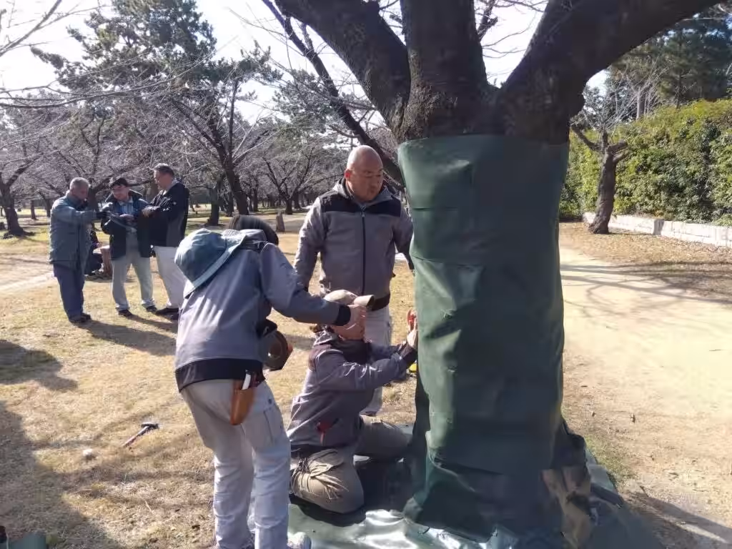 画像8