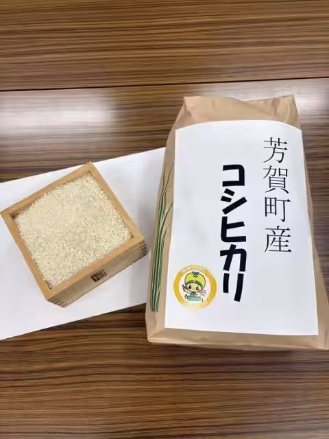 画像7